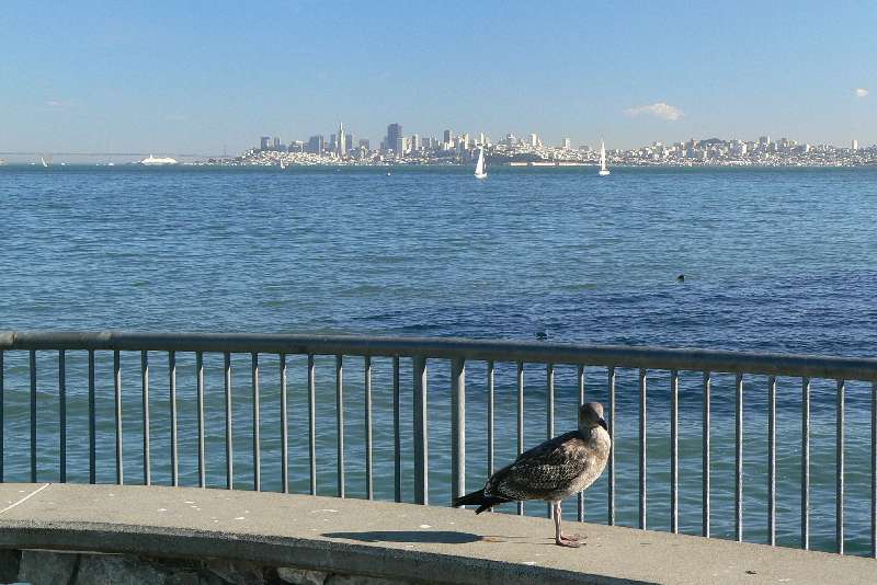 37 Vista di San Francisco da Sausalito